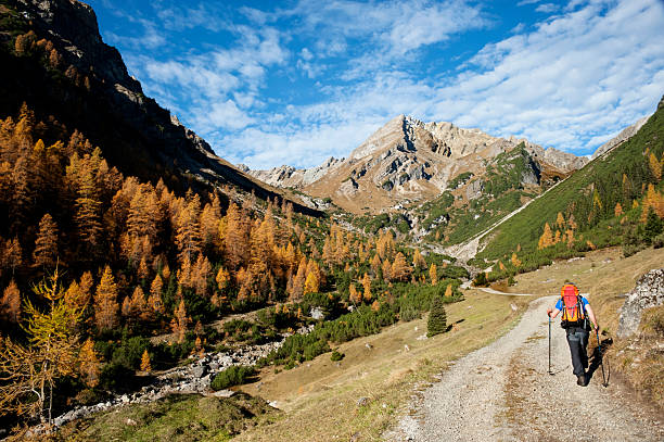 Photo of Autumn in the Alps