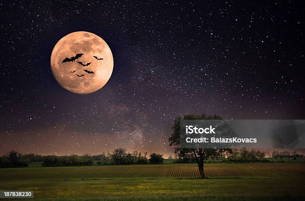 Landscape With Moon Stock Photo - Download Image Now - Bat - Animal, Spooky, Art