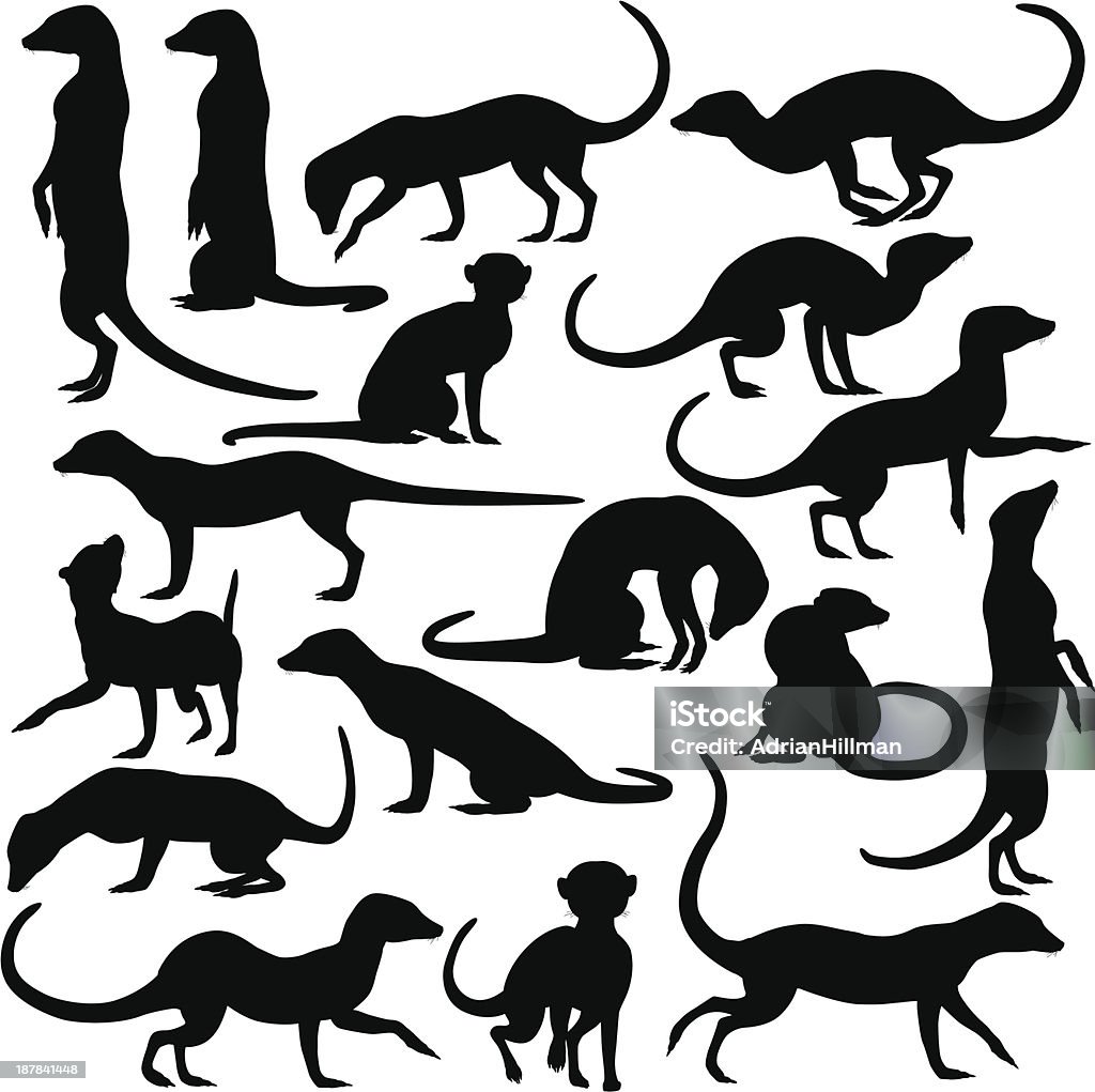 Black outline of meerkats on white background Set of editable vector silhouettes of meerkats in different postures Meerkat stock vector