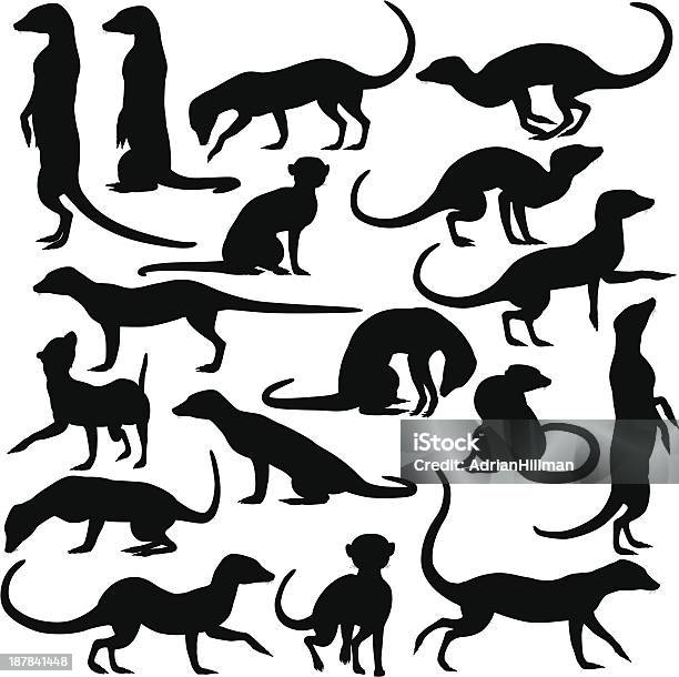 Black Outline Of Meerkats On White Background Stock Illustration - Download Image Now - Meerkat, In Silhouette, Black Color