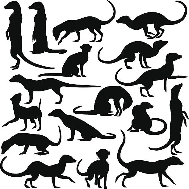 Vector illustration of Black outline of meerkats on white background