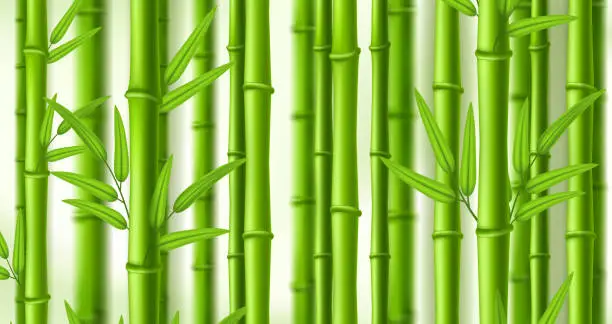 Vector illustration of Bamboo background. Lush bamboo zen grove, natural green stems wall with leaves vector illustration backdrop