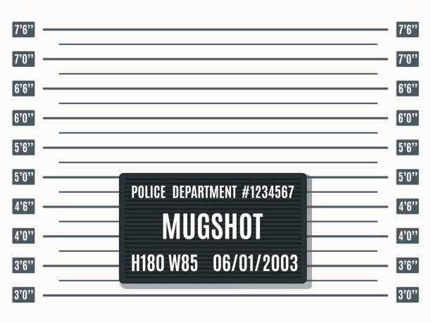 illustrations, cliparts, dessins animés et icônes de modèle de photo d’identité. application de la loi, modèle de toile de fond de photographie de réservation de prison avec tableau de mesure de la hauteur et fond vectoriel de plaque de service de police noir - planche de bois