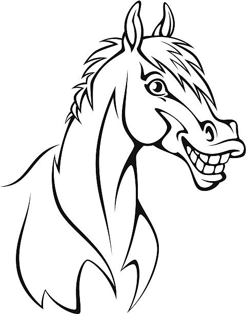 illustrations, cliparts, dessins animés et icônes de drôle cheval - horse animal head laughing animal