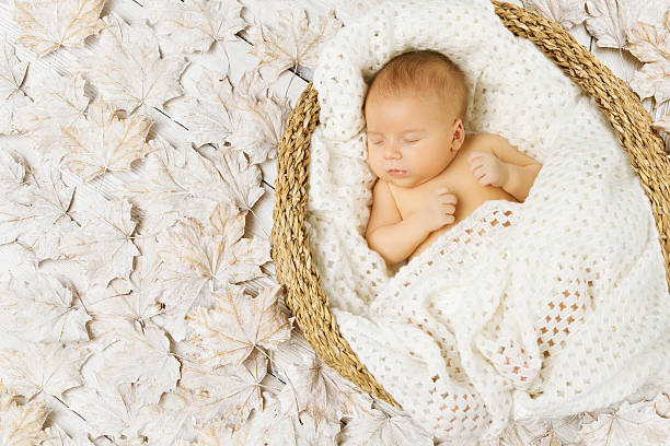 Baby newborn sleeping in basket on art white leaves background wrapped woolen in blanket