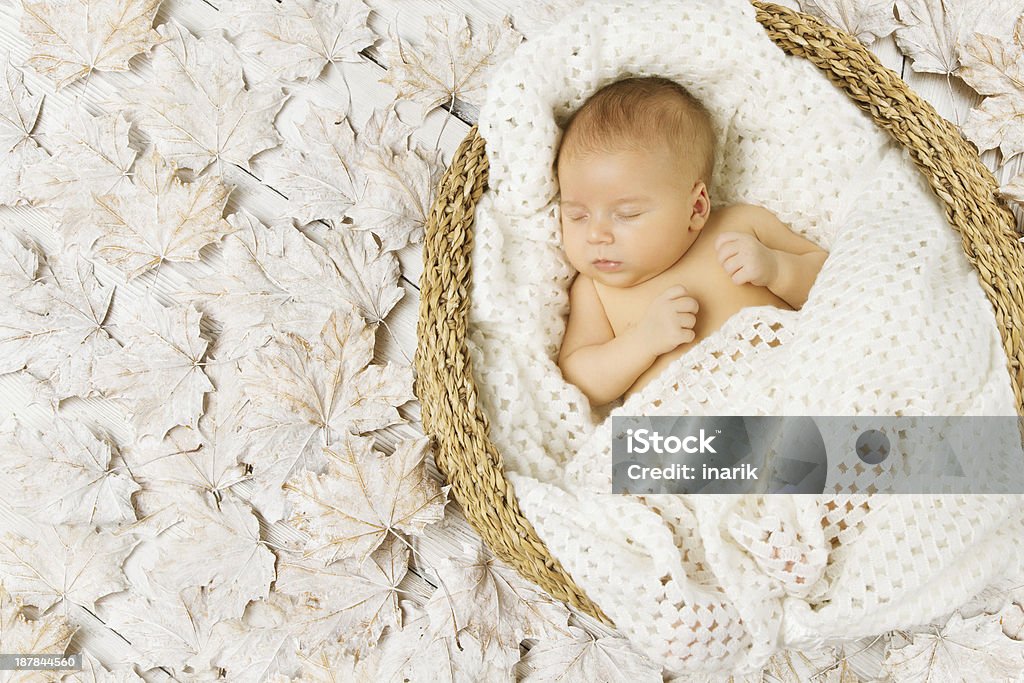Baby newborn sleeping on white leaves Baby newborn sleeping in basket on art white leaves background wrapped woolen in blanket Baby - Human Age Stock Photo