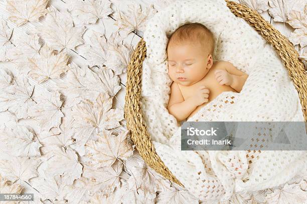 Baby Newborn Sleeping On White Leaves Stock Photo - Download Image Now - Baby - Human Age, Basket, Sleeping