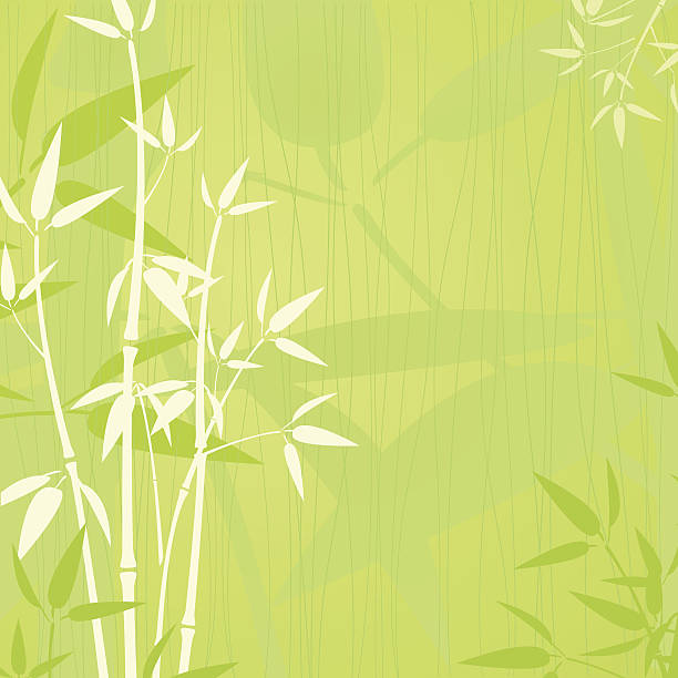 elegantem bambus-hintergrund - bamboo stock-grafiken, -clipart, -cartoons und -symbole