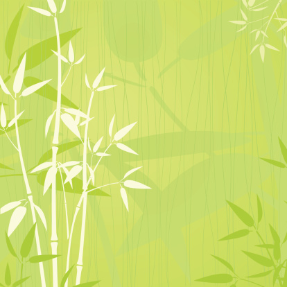 Elegent bamboo green background- EPS 10