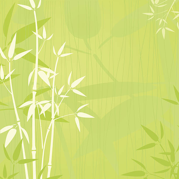 Elegent bamboo background Elegent bamboo green background- EPS 10 bamboo plant stock illustrations