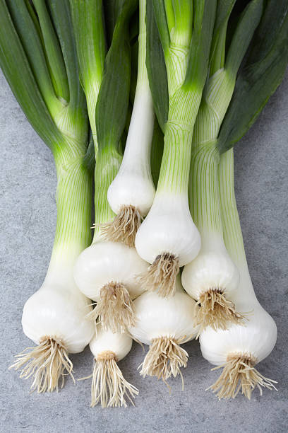 cipolla fresche sul tagliere - stone leek foto e immagini stock