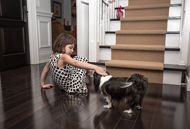 child playing with a dog stock photo