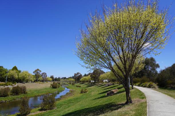 istock Spring Landscape on Walcha’s Sculpture Trail 1878462389