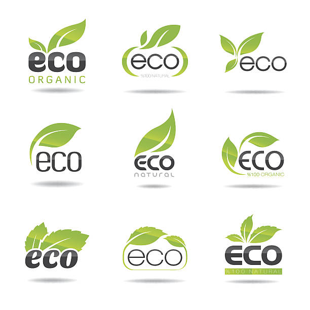 Eco Icons Set vector art illustration