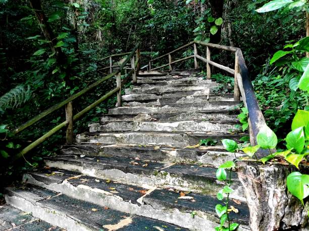 istock Staircase in Chapada do Araripe 1878474677