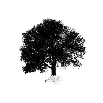 a black tree silhouette on white background