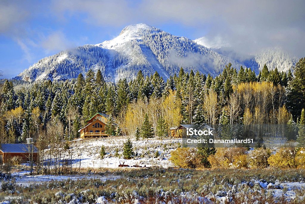 Oznaki Zima - Zbiór zdjęć royalty-free (Island Park - Idaho)