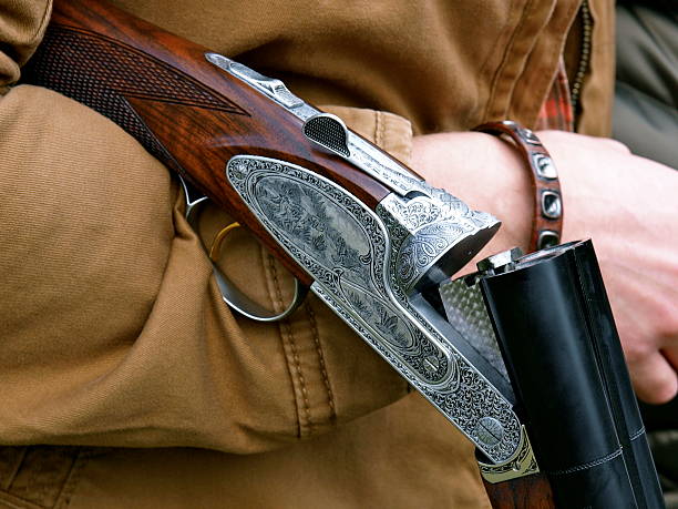 sorprendente suite shotgun - pheasant hunting fotos fotografías e imágenes de stock