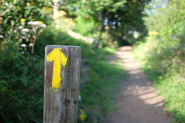 istock Yellow arrow on Way of St.James 187849576