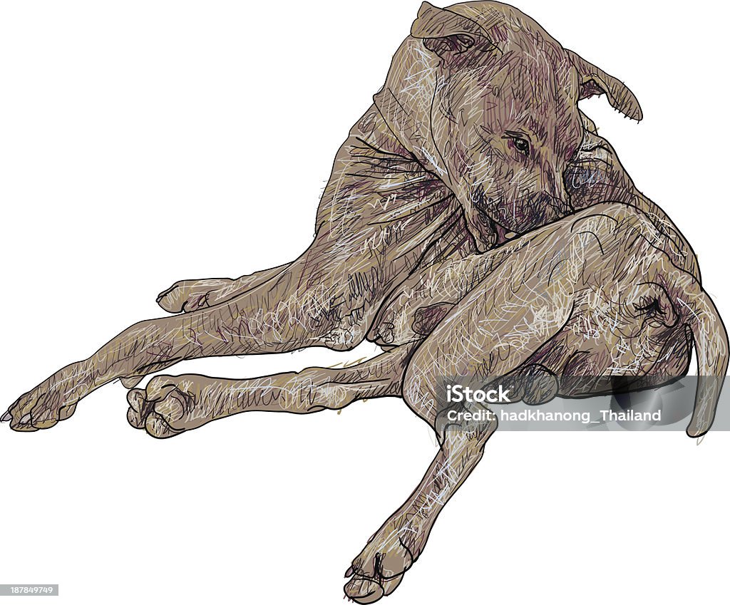 The mangy dog The mangy dog is bitting itself. Dog stock vector