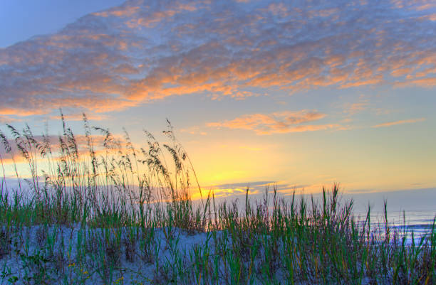 istock Beach Sunrise with Sea Grass-Hilton Head, South Carolina 1878501038