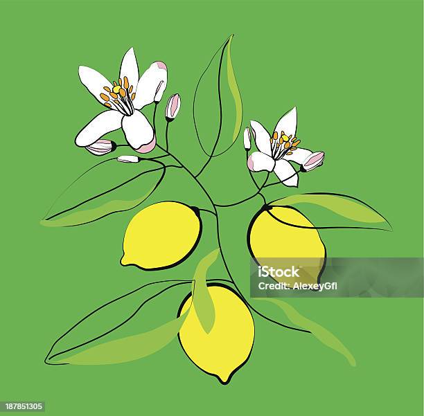 レモンの木の枝 - かんきつ類のベクターアート素材や画像を多数ご用意 - かんきつ類, アイコン, イラストレーション