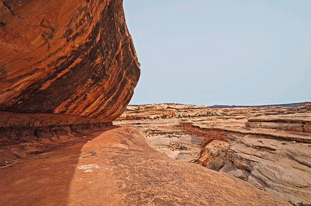 parede rochosa vermelho na manhã da sombra - red rocks rock canyon escarpment imagens e fotografias de stock