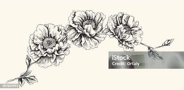 Flower Heads Stock Illustration - Download Image Now - Flower, Peony, Floral Pattern