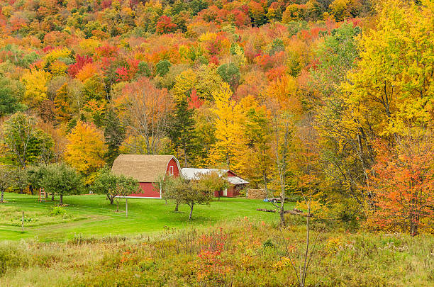 istock Rural Vermont in Autumn 187852357
