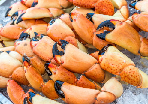 Stone Crab Claws Ready to Eat