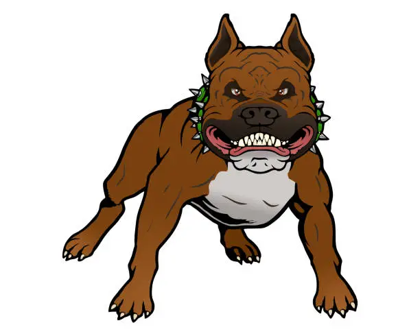 Vector illustration of illustration of a dangerous Pitbull dog