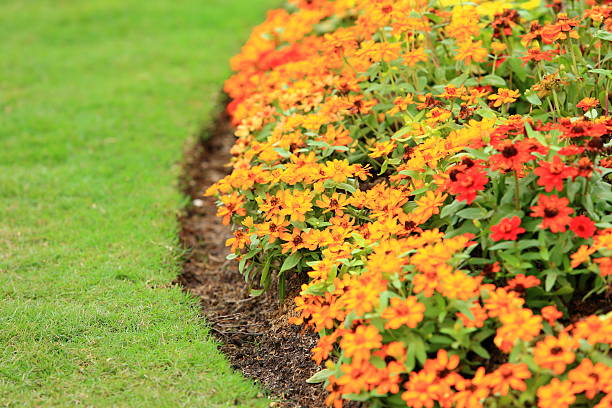 istock Beautiful spring blossom in the garden 187853213