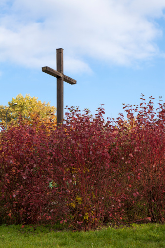 Cross of autumn leaves in the park