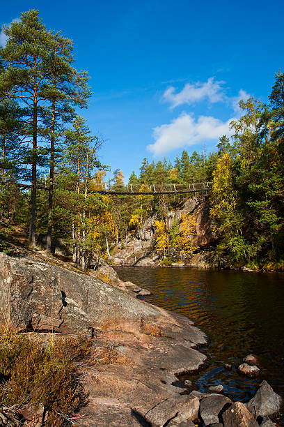 istock Hanging bridge in Repovesi, Finland 187855415