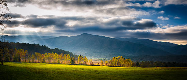 cade's cove rano panorama - cades zdjęcia i obrazy z banku zdjęć