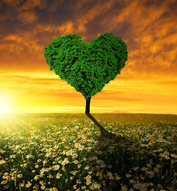 istock tree in the shape of heart 187856871