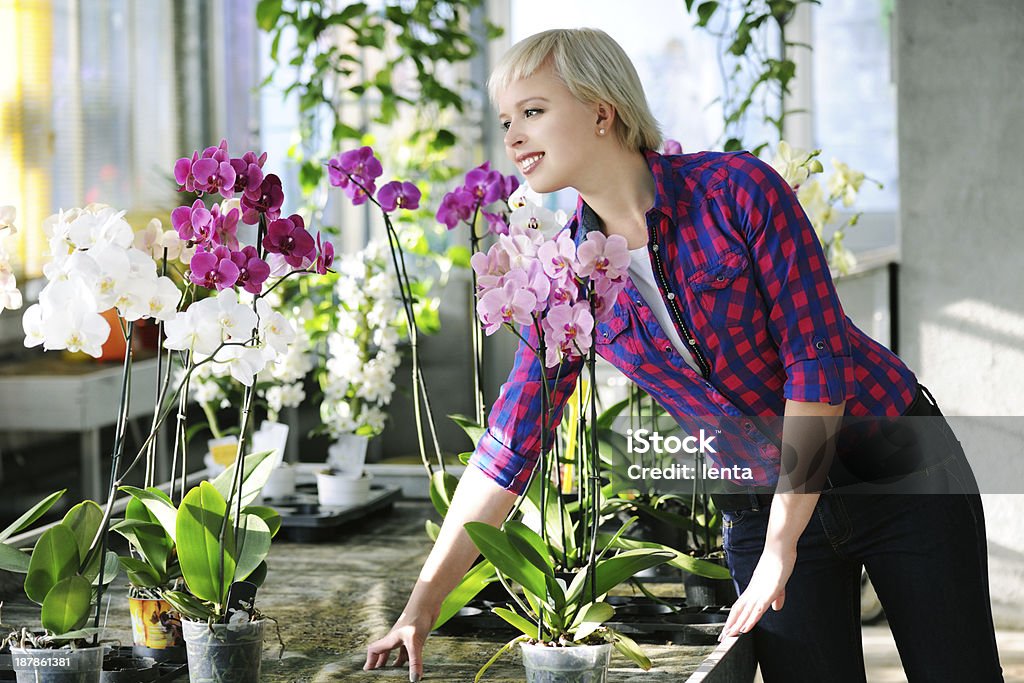 girl with orchids cheerful girl looking to orchids in a greenhouse Adult Stock Photo