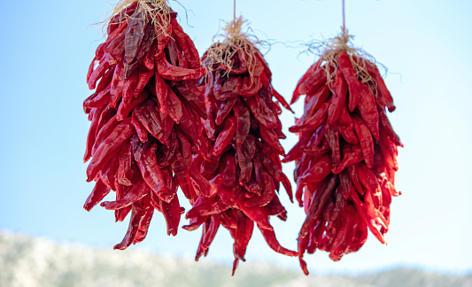 Red Chili Peppers bunches hanging at farmers market  in New Mexico United States