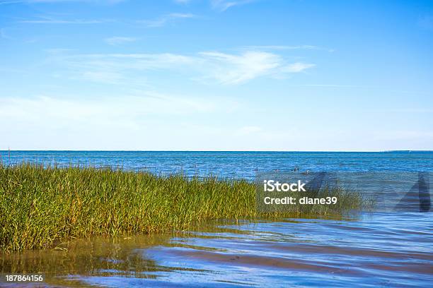 High Tide On The Cape Cod Flats Stock Photo - Download Image Now - Beauty In Nature, Blue, Brewster - Massachusetts