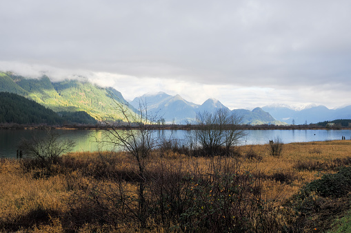 Landscape and scenery from Pitt Meadows, alouette river and trail pavilion, BC, Canada