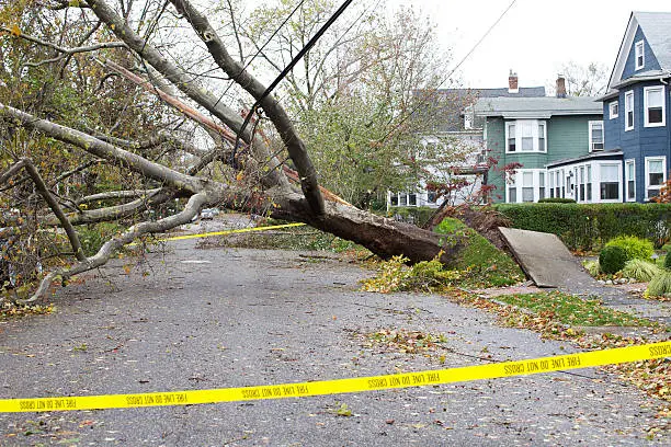 Photo of Hurricane Damage