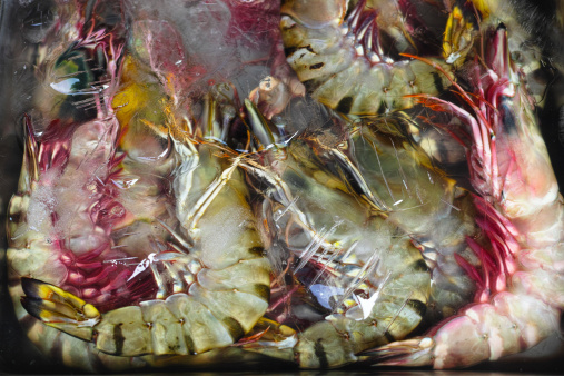 Freshly caught Tiger prawns in ice for sale in a Thai market in a seaside town in Thailand. Shallow depth of field.