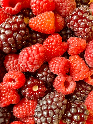 A background of berry fruit such as raspberries and boysenberries close up and in full frame.