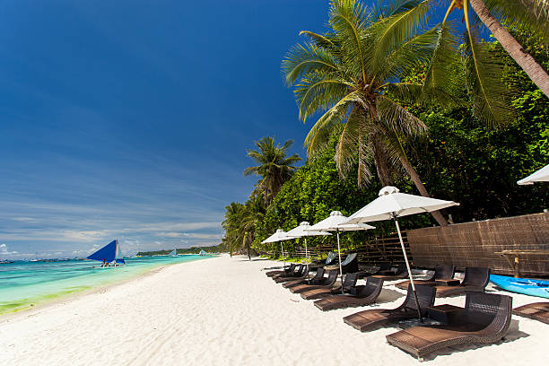 istock Sun umbrellas and beach chairs on tropical coastline 187865881