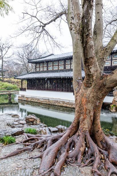 istock Ancient Chinese Traditional Gardens in the Snow 1878712859