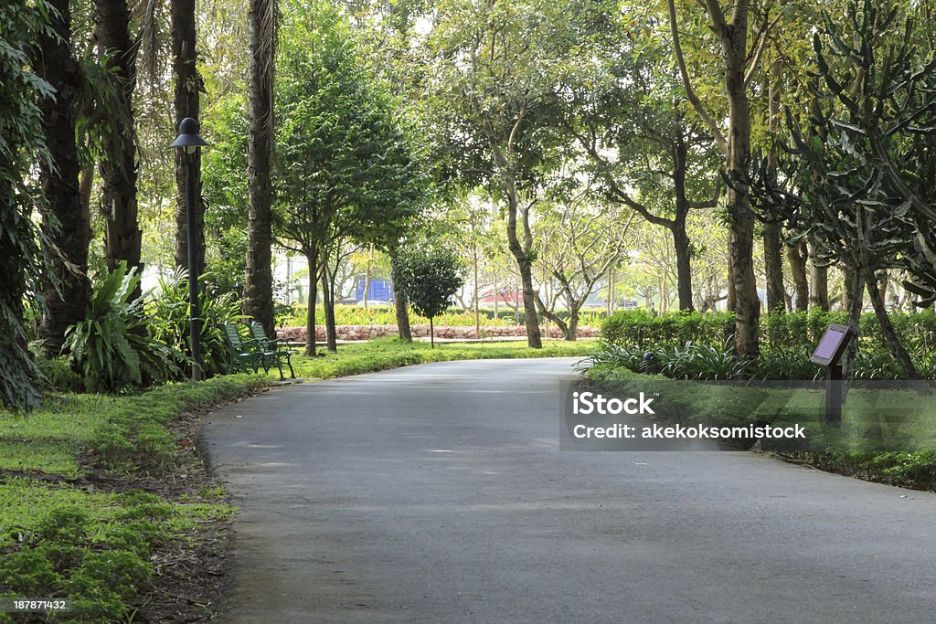 Park Pathway Autumn Stock Photo