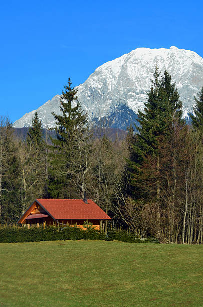 istock Wooden house in forest 187871983