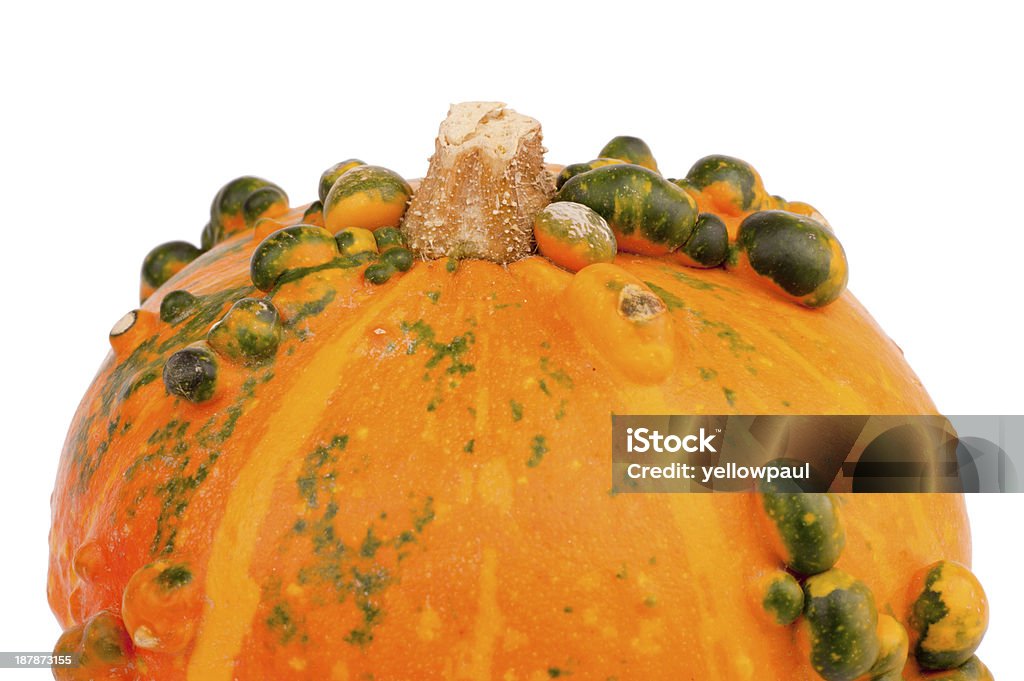 Orange citrouille green les ampoules gros plan - Photo de Abscès libre de droits