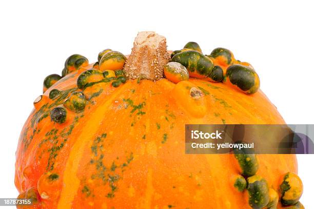 Photo libre de droit de Orange Citrouille Green Les Ampoules Gros Plan banque d'images et plus d'images libres de droit de Abscès - Abscès, Automne, Bosse