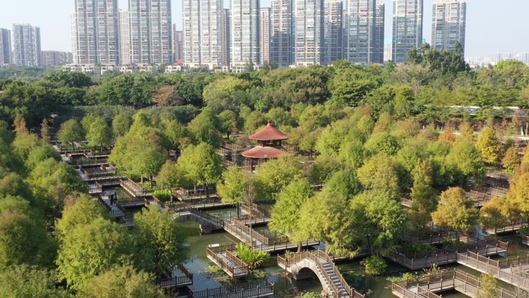 Urban Wetland Park Cypress Cypress